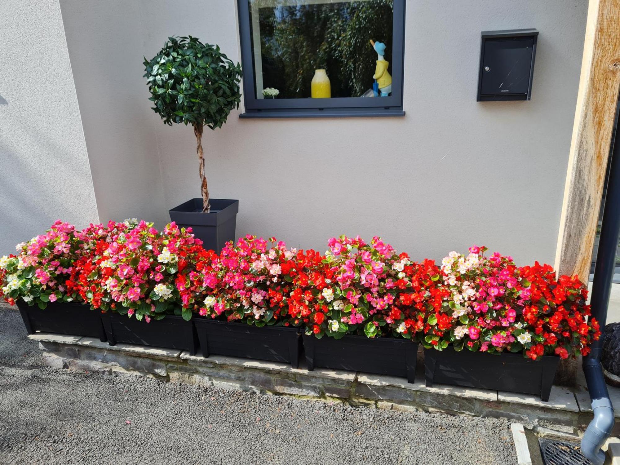 Camden Lodge B&B And Cottage Brecon Esterno foto
